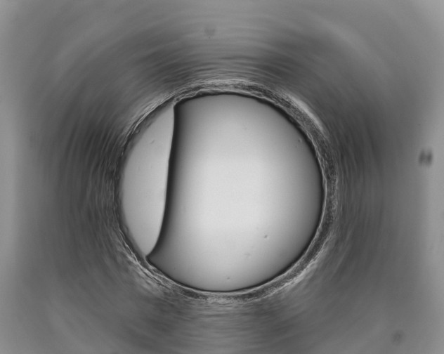 X0000090870777200707270954