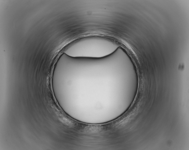 X0000090870778200707270954