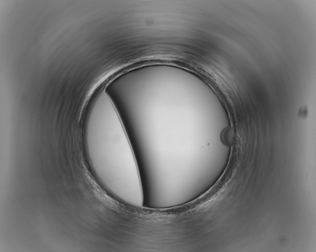 X0000090870779200707270954