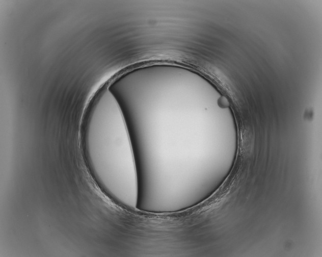 X0000090870780200707270954