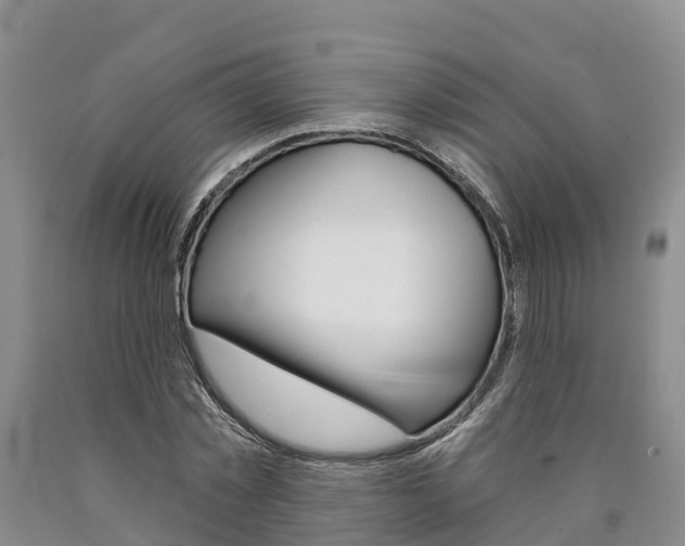 X0000090870781200707270954