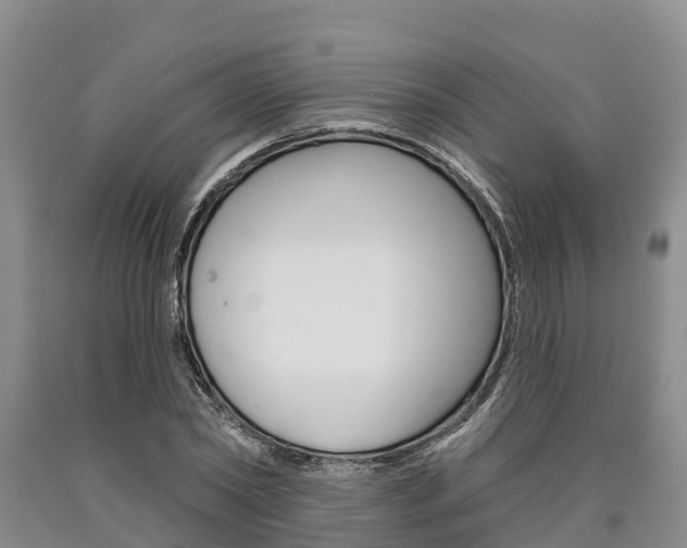 X0000090870782200707270954