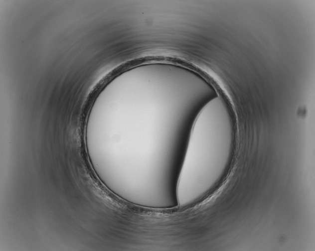 X0000090870783200707270954