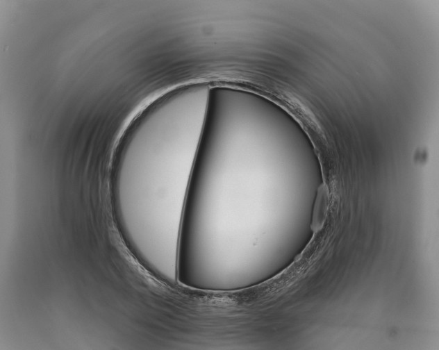 X0000090870784200707270954