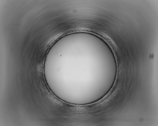 X0000090870785200707270954