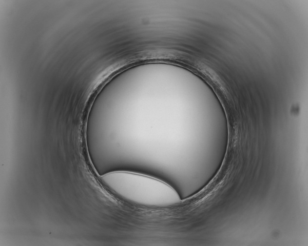 X0000090870786200707270954