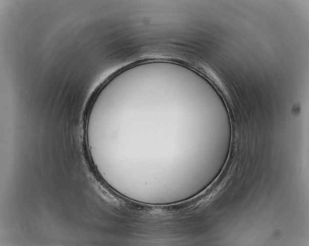 X0000090870787200707270954
