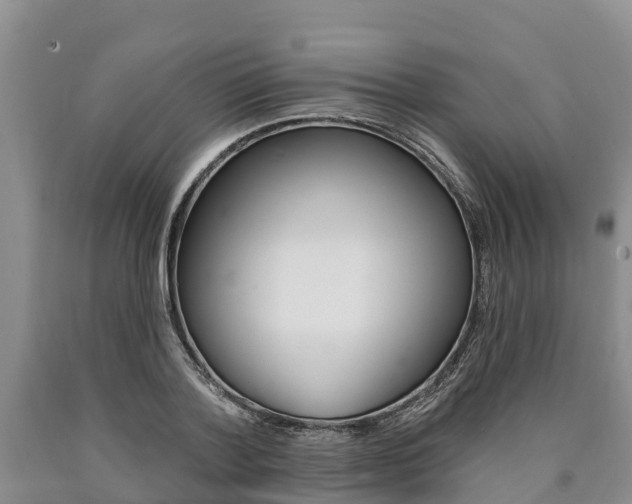 X0000090870788200707270954