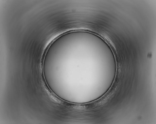 X0000090870789200707270954