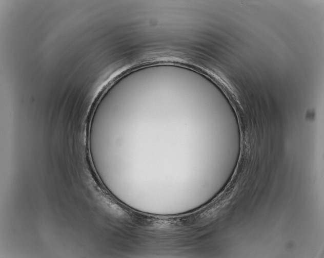 X0000090870790200707270954