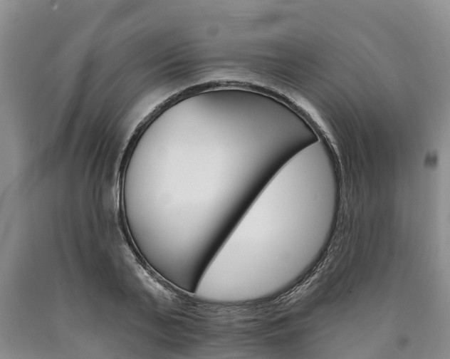 X0000090870791200707270954