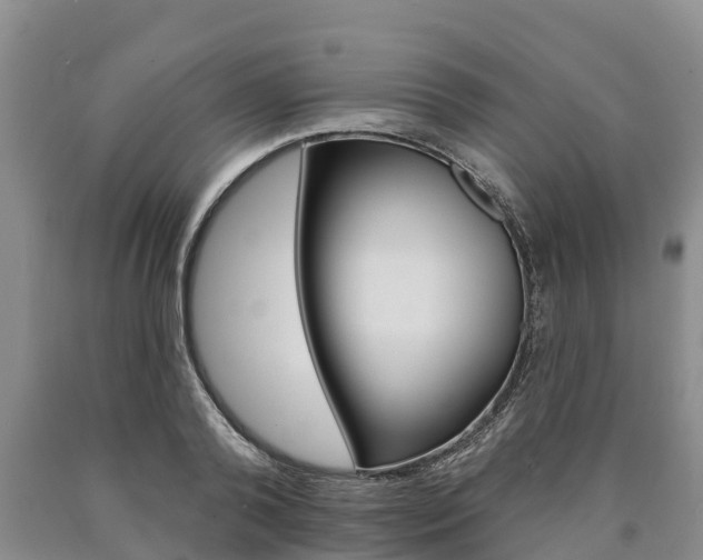 X0000090870792200707270954