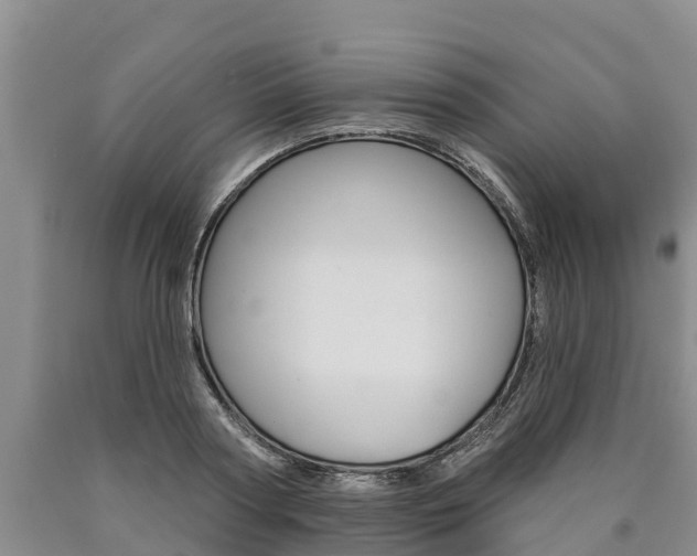 X0000090870794200707270954