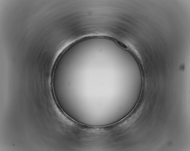 X0000090870797200707270954