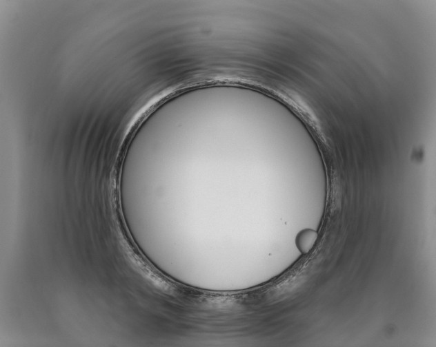 X0000090870798200707270954