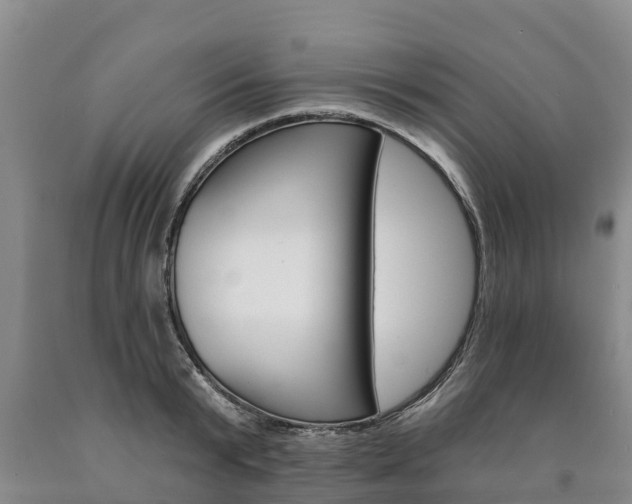 X0000090870799200707270954