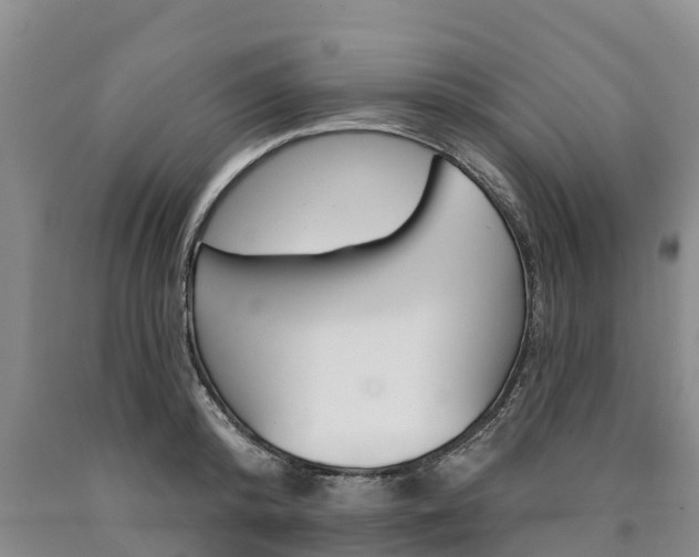 X0000090870800200707270954