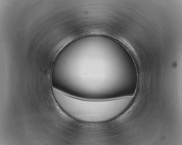 X0000090870801200707270954