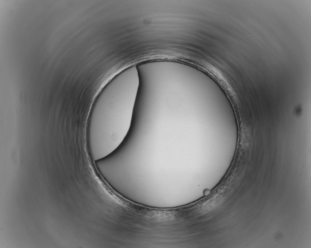 X0000090870802200707270954