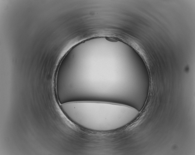 X0000090870803200707270954