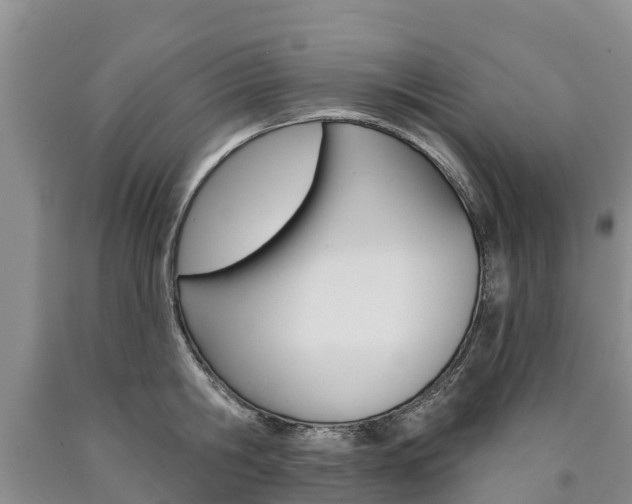 X0000090870806200707270953