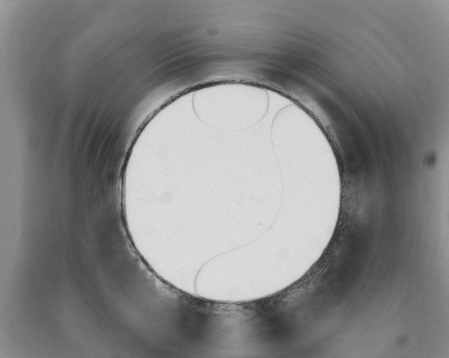 X0000090870807200707270953