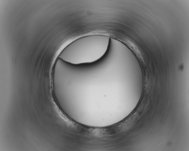 X0000090870808200707270953