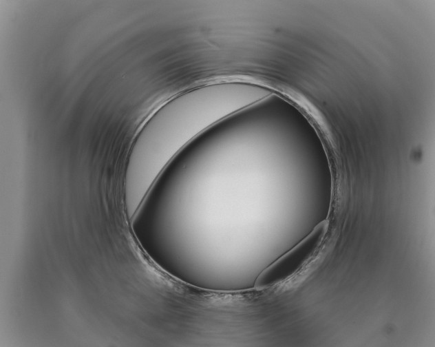 X0000090870809200707270953