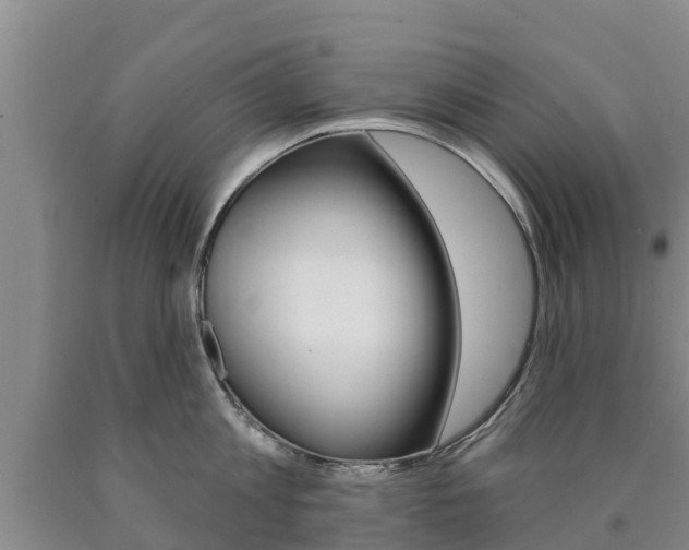 X0000090870813200707270953
