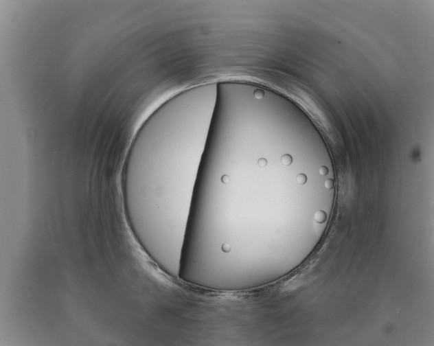 X0000090870814200707270953