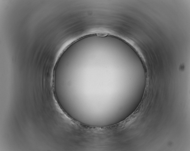 X0000090870815200707270953