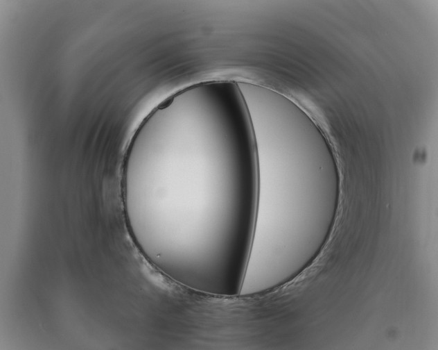 X0000090870816200707270953