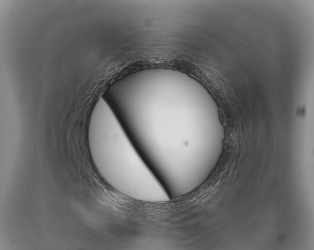 X0000090870817200707270953