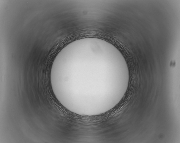 X0000090870818200707270953