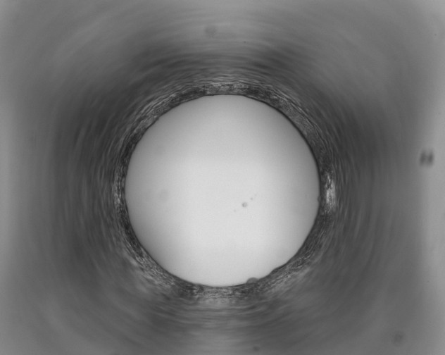 X0000090870819200707270953