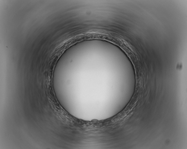 X0000090870821200707270953