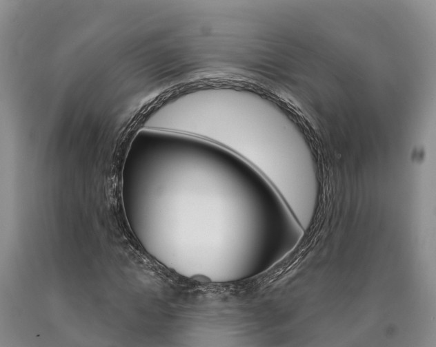 X0000090870822200707270953