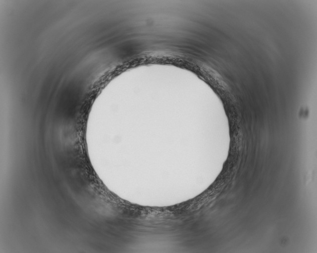 X0000090870824200707270953