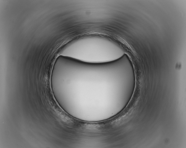 X0000090870825200707270953