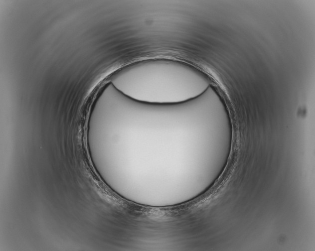 X0000090870827200707270953