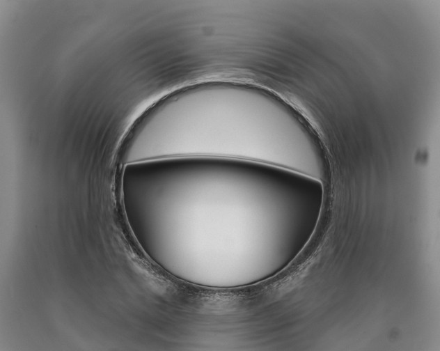X0000090870830200707270953