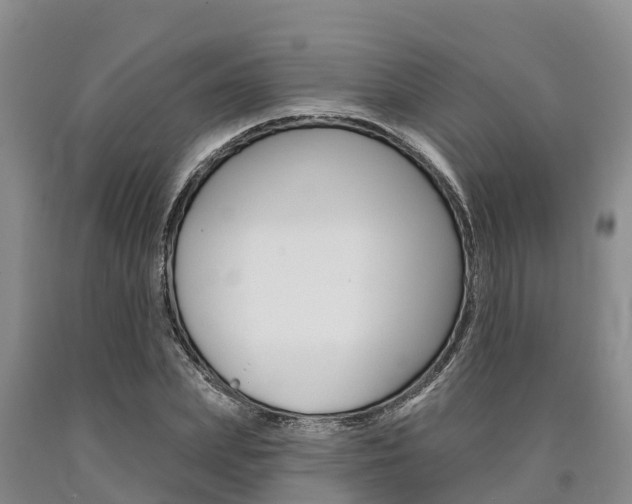 X0000090870831200707270953