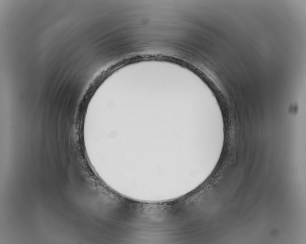 X0000090870832200707270953