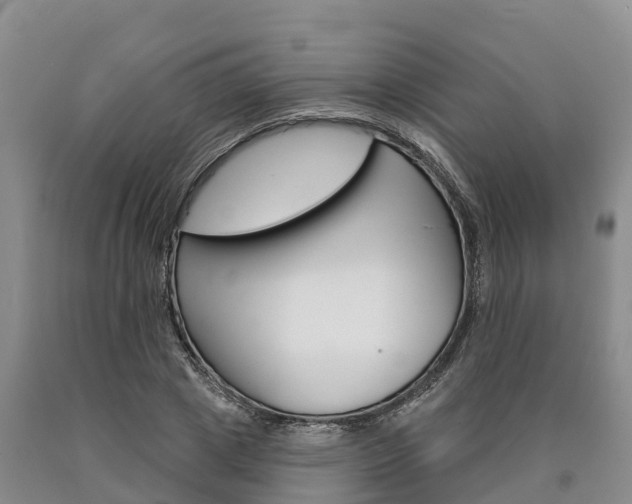 X0000090870833200707270953