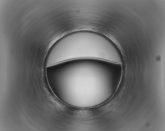 X0000090870834200707270953