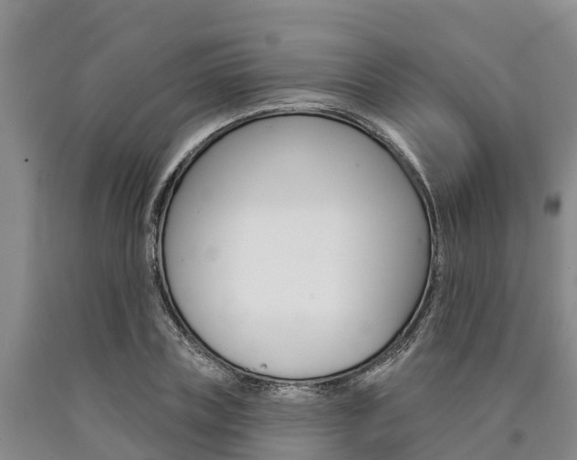 X0000090870835200707270953