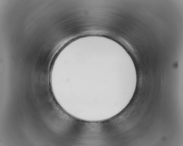 X0000090870836200707270953