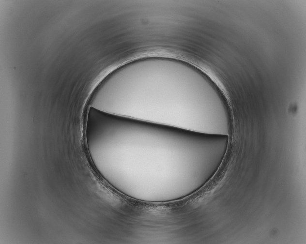X0000090870837200707270953