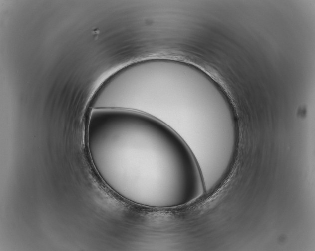 X0000090870838200707270953