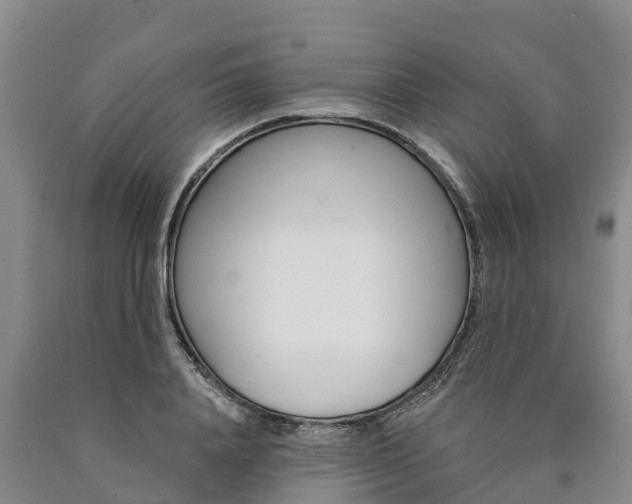 X0000090870840200707270953